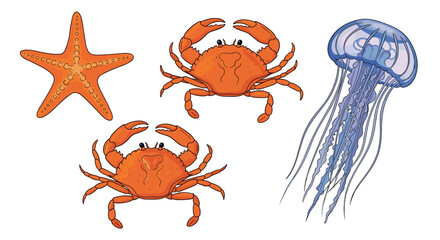 Adobe Illustrator Artwork