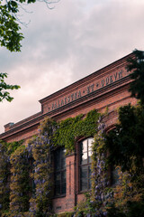 The facade of Palaestra et Odeum coveredd in blooming Wisteria in Lund Sweden