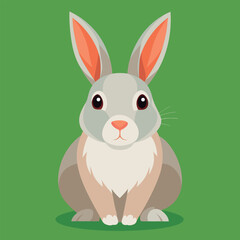 Obraz premium Cute gray rabbit sits on green grass.