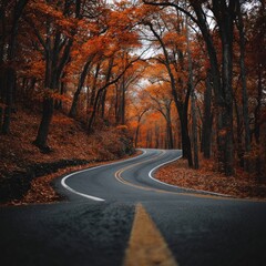 Obraz premium Winding road through autumn forest (4)