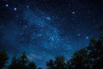 Night sky ablaze with stars and Milky Way