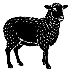 vector illustration of sheep