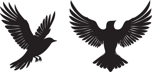 Two Birds flying silhouette vector