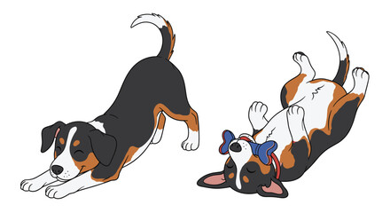 Adorable Greater Swiss Mountain Dog Pups Playtime The Pure Joy of Canine Companionship