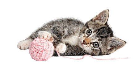 A playful kitten playing with pink yarn isolated on a transparent background