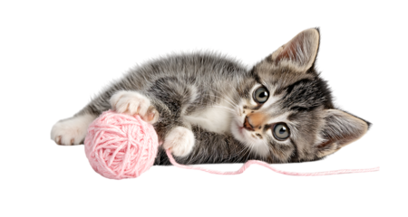 A playful kitten playing with pink yarn isolated on a transparent background