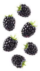 Blackberries floating isolated on transparent background