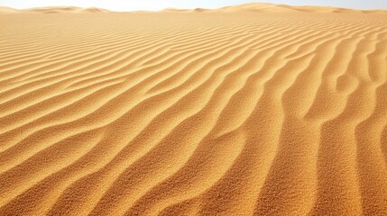 A vast expanse of golden sand dunes with gentle ripples under a clear sky. The scene captures the serene beauty of a desert landscape.