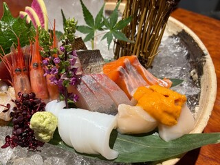Sashimi