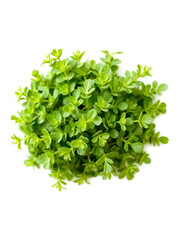 Obraz premium Oregano top view, isolated onTransparent