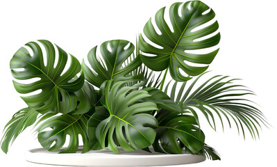 Lush Monstera Leaves And Palm Fronds Arranged On A White Platform Against A Transparent Background
