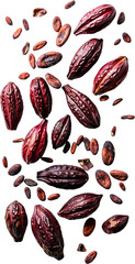 Scattered cocoa pods and beans displayed against a solid black backdrop some pieces of chocolate are also visible