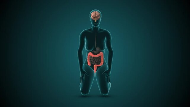 IBS Symptoms Emerging from Brain and Intestine Miscommunication