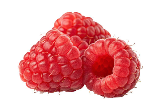 Raspberry fruit close up macro shot fresh raspberries healthy eating antioxidant rich berry fruit vibrant color