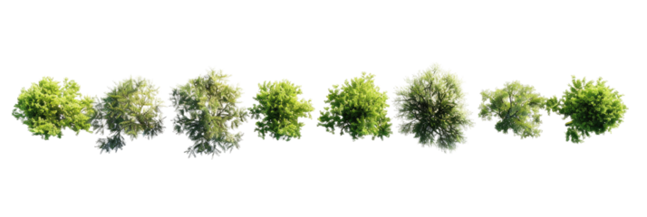 PNG. A row of trees, from a top down view, on a white background, in a photorealistic, ultra realistic style, rendered with octane, with hyper detailed elements