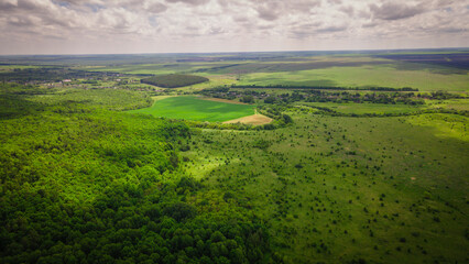 aero landscape of a green summer forest