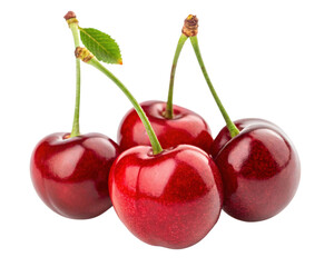 Fresh Red Cherries isolated on transparent background