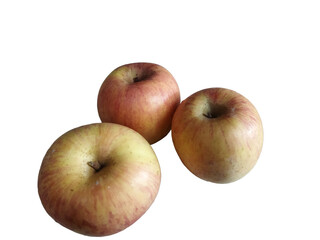 red apples on white background