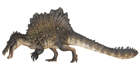 Realistic depiction of a Spinosaurus dinosaur. © Ilie