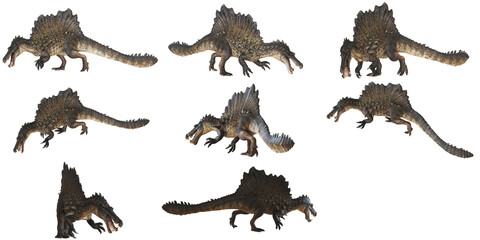 Spinosaurus dinosaur in various dynamic poses