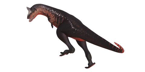 Dinosaur rendering of Carnotaurus on white background