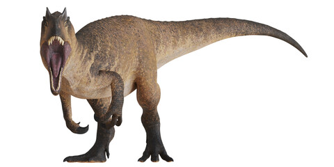 Roaring dinosaur with sharp teeth on a white background. © Ilie