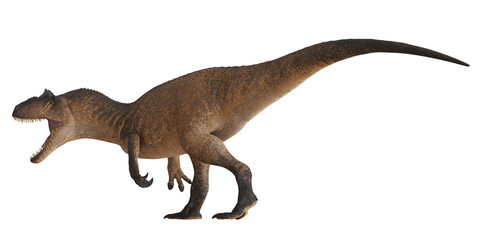 Ferocious Tyrannosaurus Rex on a white background