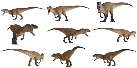 Collection of detailed dinosaur models.
