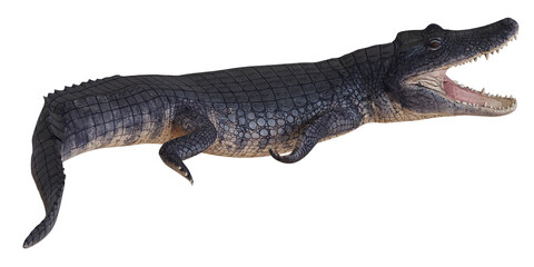 Alligator with mouth open, isolated on white