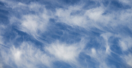 blue sky filled with cirrus