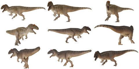 Collection of realistic dinosaur 3D models.