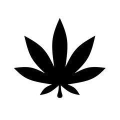 marijuana leaf icon vector on white background