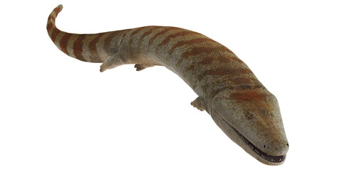Realistic 3D illustration of prehistoric marine reptile.