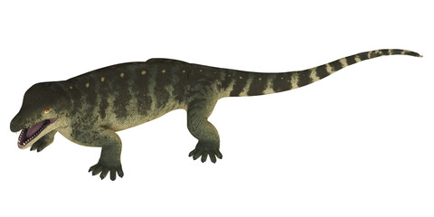 Realistic depiction of prehistoric amphibian.