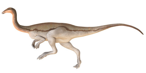 Illustration of a bipedal dinosaur species.