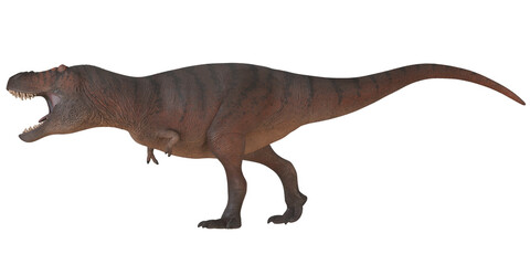 Fototapeta premium Roaring T-Rex dinosaur on white background.