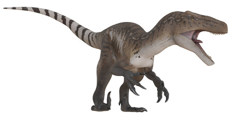 Large predatory dinosaur, roaring stance