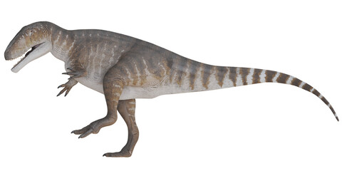 Model of a large theropod dinosaur in profile view.