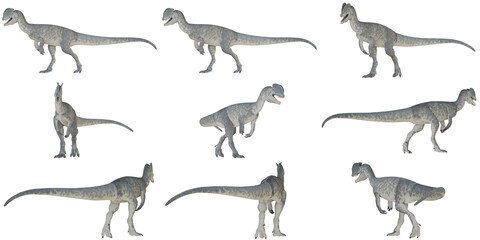 Velociraptor dinosaurs in various dynamic poses