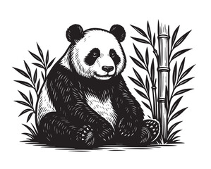 Monochrome vector illustration of a panda sitting calmly among bamboo plants. Detailed ink style, wildlife theme, isolated on white background. Animals.