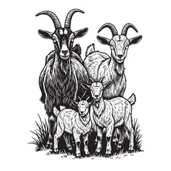 Monochrome vector illustration of a goat family standing on grass. Farm animal group, detailed ink style, white background.