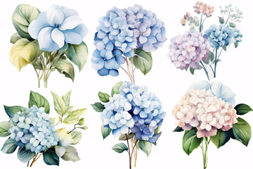 Watercolor Flowers Bouquets, illustration background