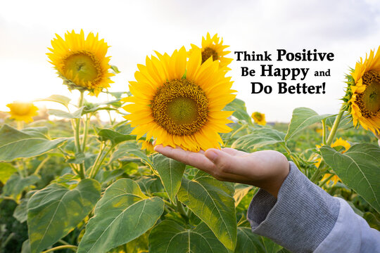 Think positive, be happy and do better. Life inspirational motivational text quote with person holding sunflower blooming in hand in the garden. Happiness and self improvement, personal growth.