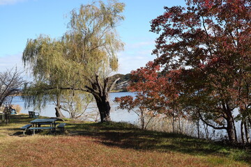 晩秋の湖畔　