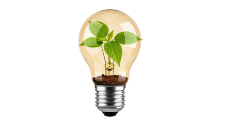 Isolated Light Bulb with Seedling Growing Inside Conceptual