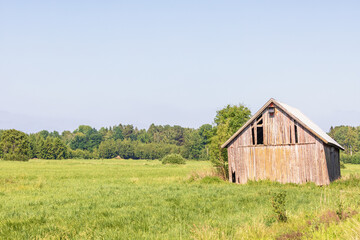 Obraz premium Old wooden barn on a grass meadow in the summer