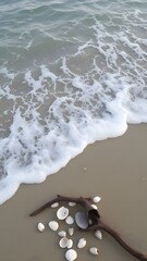 Whispers of the Tide: Treasures Along the Shoreline