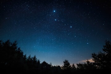 Fototapeta premium Night sky full of stars above dark forest