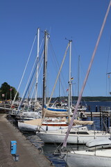 Sailboats Docked at Marina on Sunny Day
