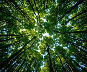 Green forest background nature enviroment nature 